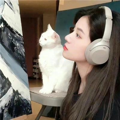 金牌红娘